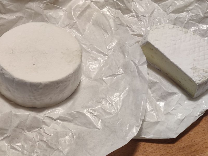 erster Camembert.jpg