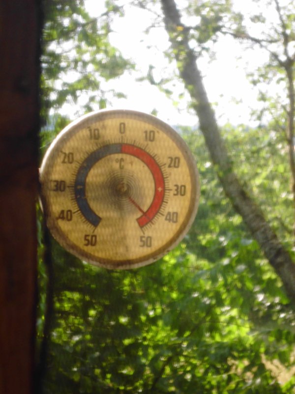 DSCI0012.jpg