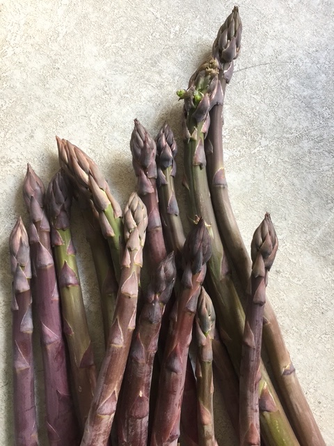 Violett vor dem Garen