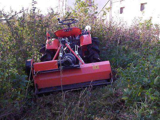 Traktor in Brennessel.JPG