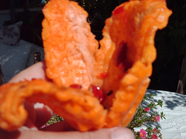 kürbis oder gurke.JPG