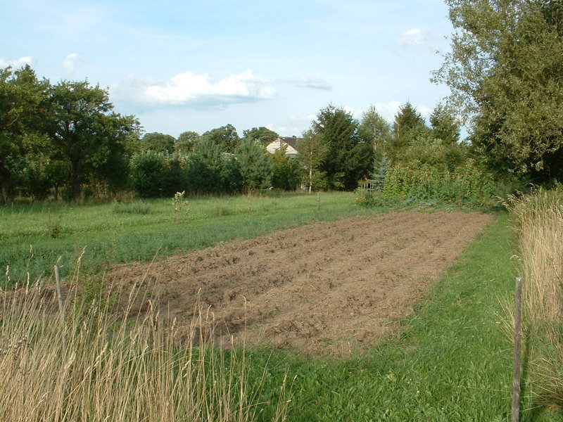 ca. 250 m² Kartoffelfläche