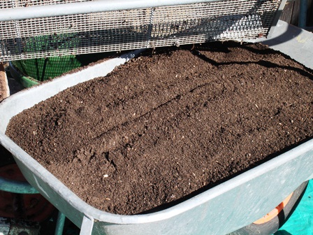 Kompost gesiebt.jpg