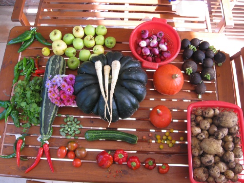 Allerlei aus dem Garten.JPG