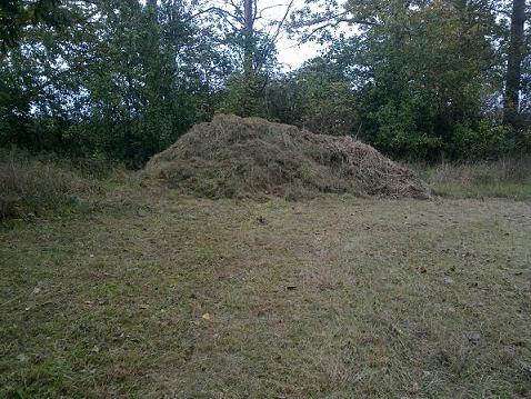 Grasschnitthaufen ca. 3 Meter hoch und 7 Meter lang