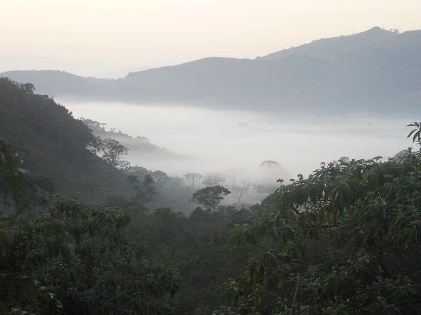 Beim morgendlichen Rundgang eröffnen sich solche Ausblicke