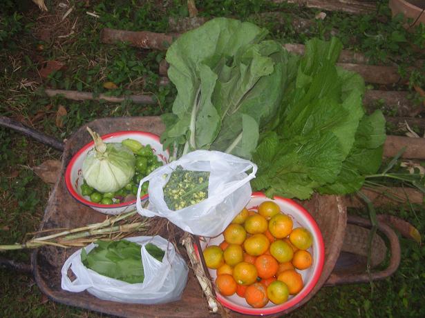 Ernte an einem beliebigen Tag