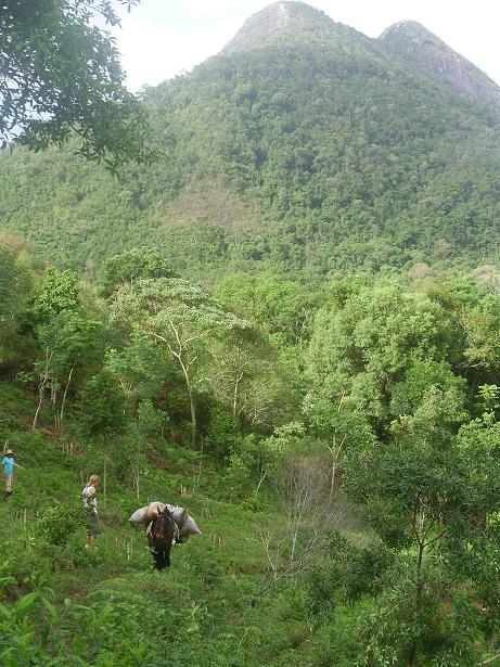 Castanho trägt Mist auf das obere Plateau