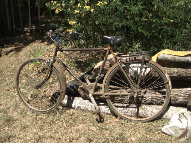 mein Mercedes Benz der gute Dienste bringt!