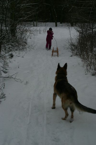 k-IMG_6125.JPG