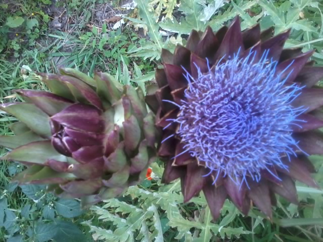 2012-12-30 14.55.11.jpg