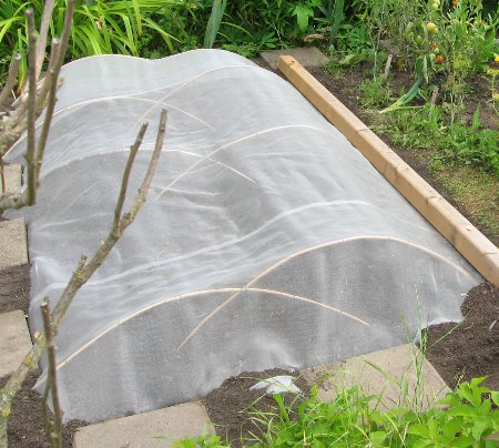 Gemüseschutznetz im Sommer.jpg