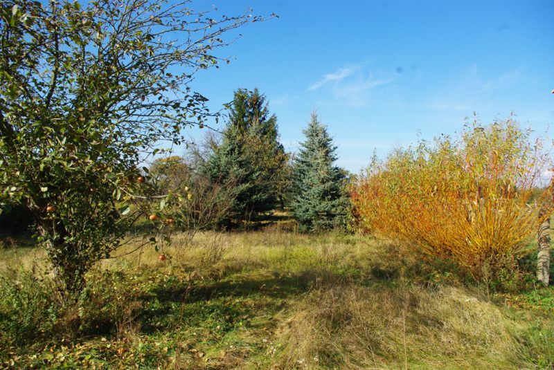 IMGP1562.jpg
