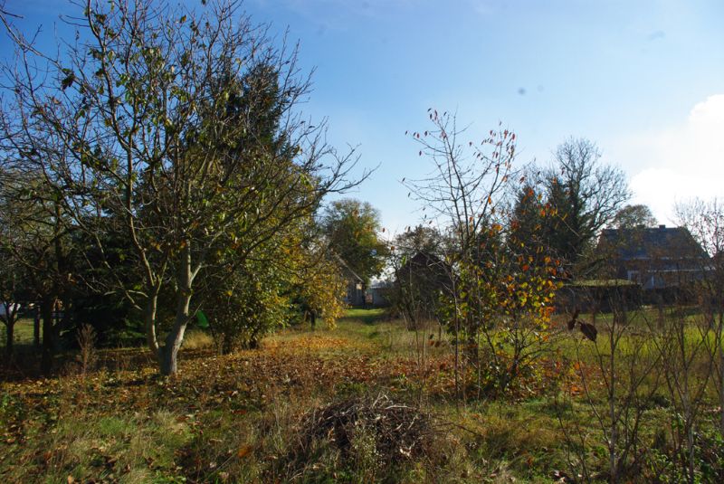 IMGP1570.jpg