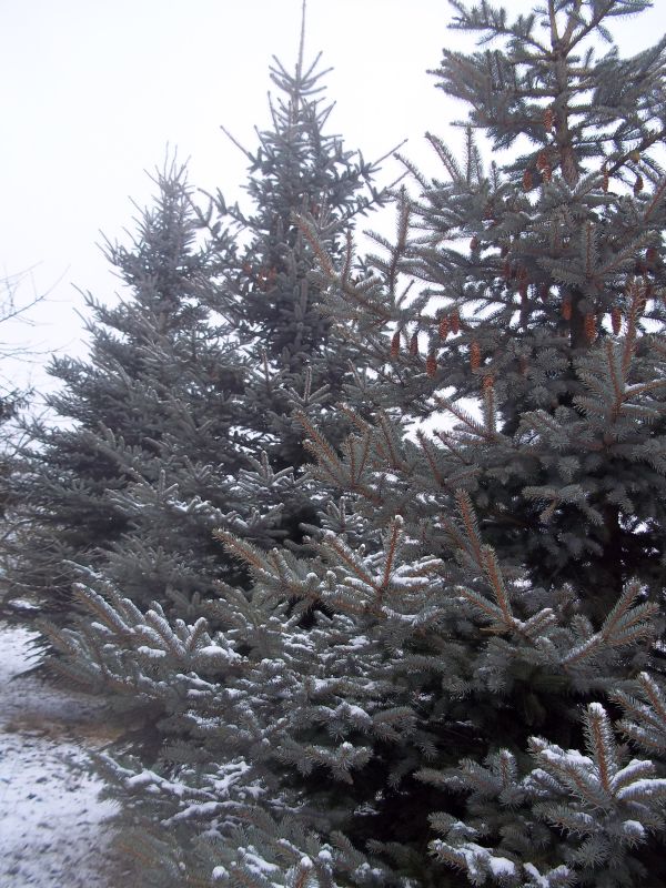 ist das nicht ein bißchen übertrieben?