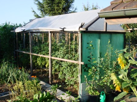 Tomatenhaus von Nordosten.jpg