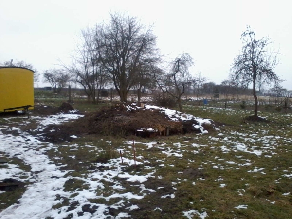 2013-02-25 09.47.36 (2).jpg