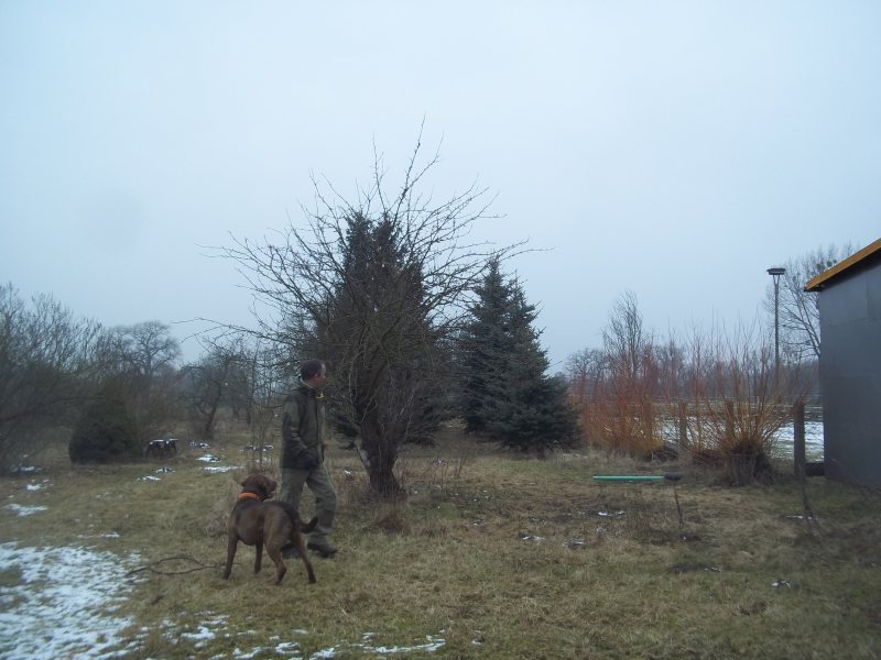 der blick vom haus in den garten im winter