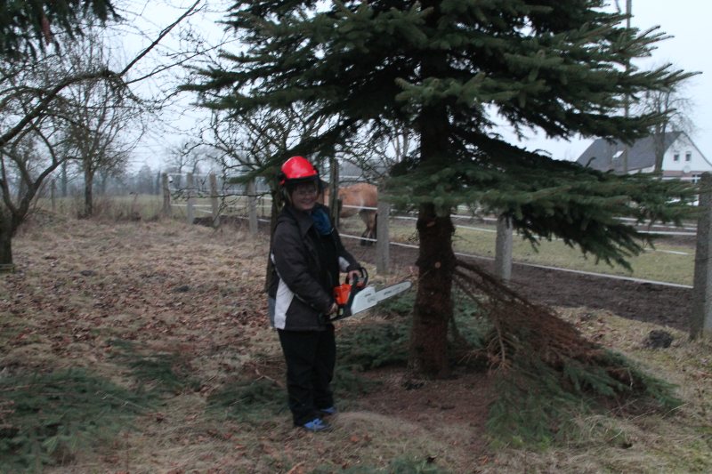 ich entaste aber nur... gelle?