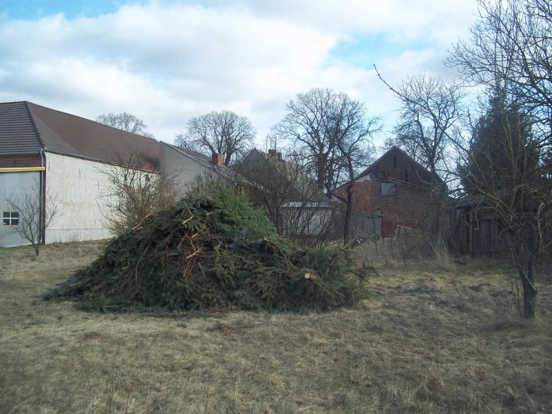 dieser riesenberg fichtenzweige wird das osterfeuer des nachbarn mit anheizen