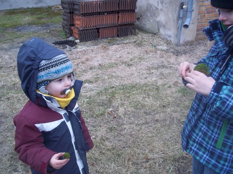 die verwandschaft sammelt moos