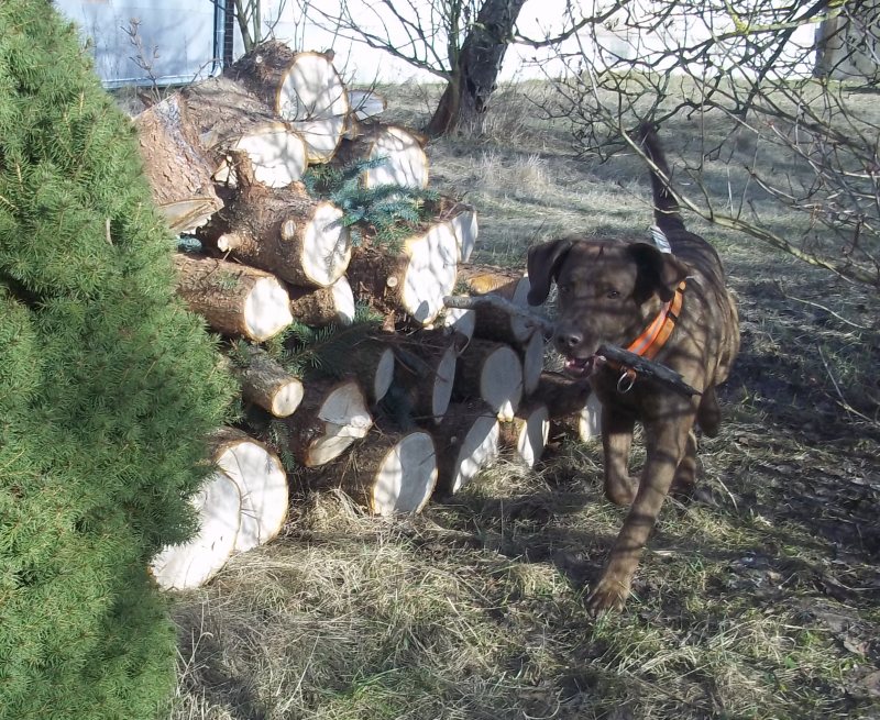 und nochmal ein stöckchen...