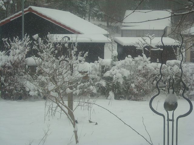 So sah es heute morgen aus und es schneit und schneit