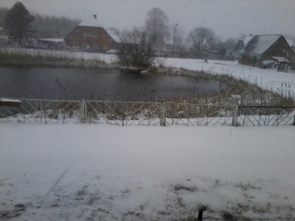 2013-03-10 07.37.52.jpg