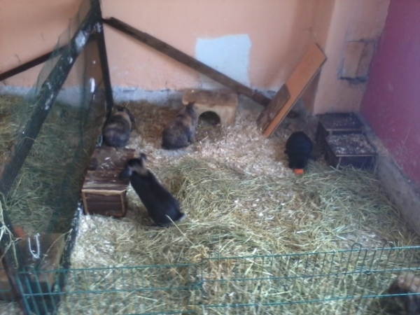 2013-03-14 16.00.36.jpg