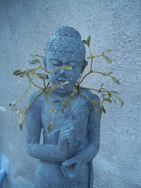 buddha mit mistel