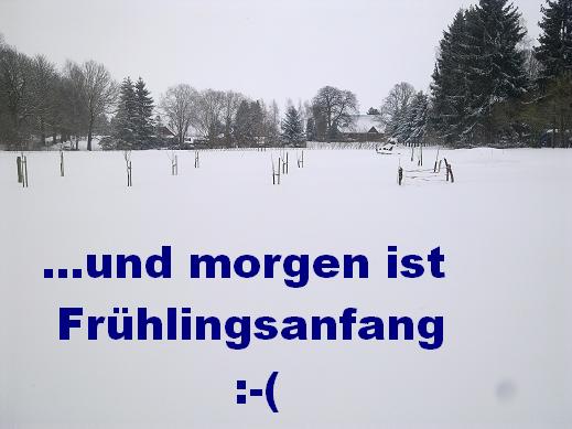 fruehling.JPG