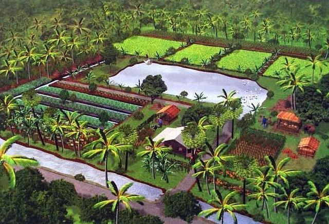 A vision of self-sufficiency in Thailand. Agrarian values and the self-reliance they engender are the hallmarks of real freedom.jpg
