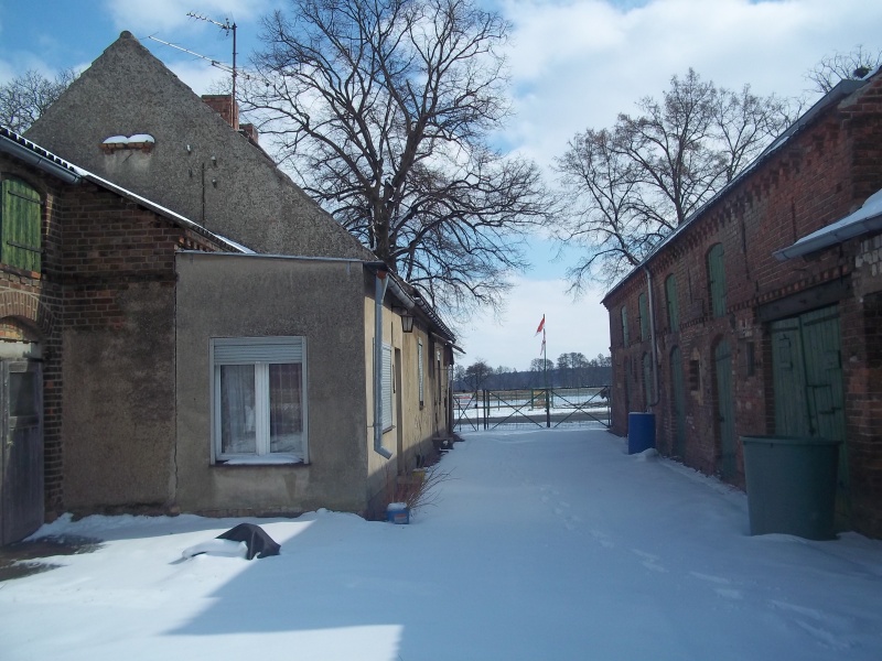 schnee zum frühlingsanfang
