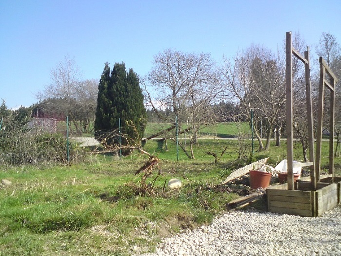 bearbeitetes Bild01.jpg