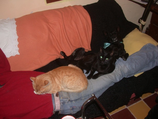 DSCN7344-i-Pausa.JPG