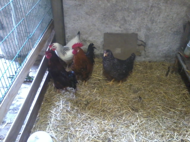 2013-04-05 14.56.48.jpg