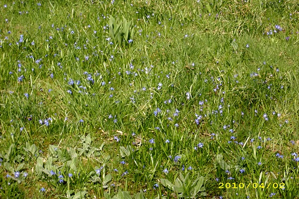 leider auch nicht so sehr deutlich, aber ich denke man den kann den blauen schimmer erkennen
