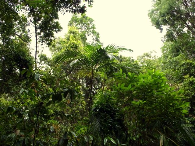 5 auch zu viele Sorten.jpg