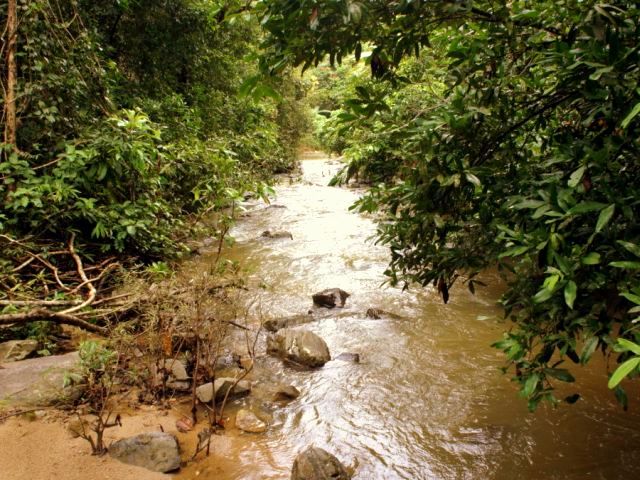 12 Bach freiraeumen.jpg