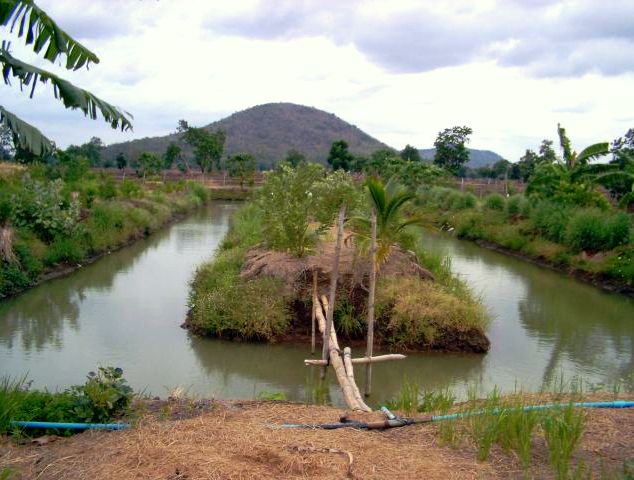 13 Reservoire u.Pumpen warten.jpg