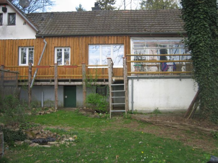 Pfirsichbäume, die dieses Jahr zum ersten mal Blüten haben