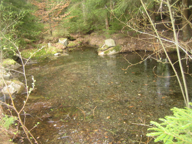 sjödalen 2013 mai 048.JPG