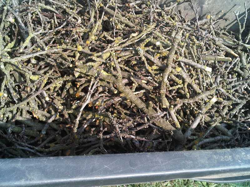 AA-feinere Holzschnitzel.jpg