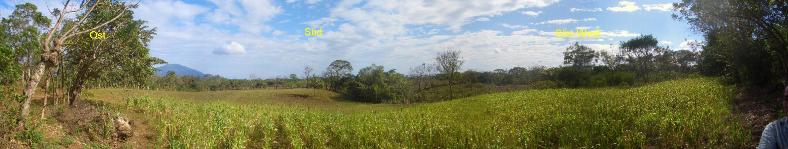 1Kompass_Teil- Panorama möglicher Kauf.JPG