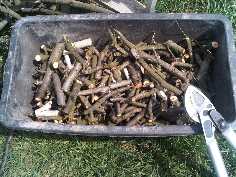 AA-sehr grobe Holzschnitzel.jpg