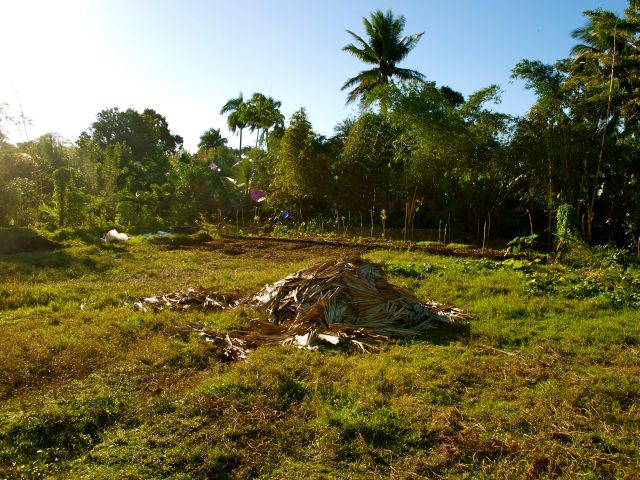 2bambusdach vorhergross.jpg