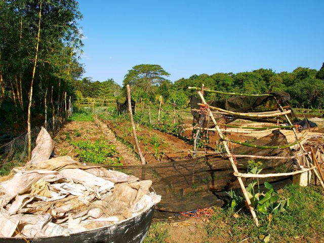 5bambusdach nachherfastgross.jpg