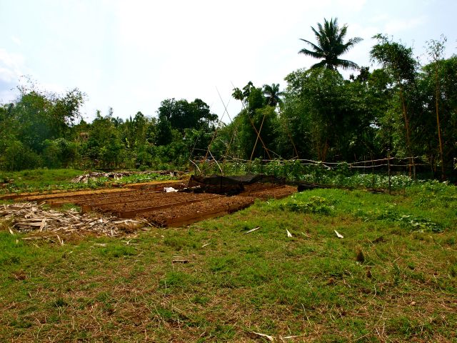 6bambusdach nachhergross.jpg