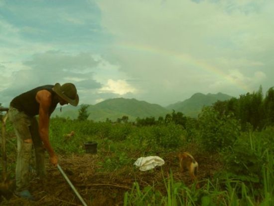allone-rainbow-tree-planting.jpg