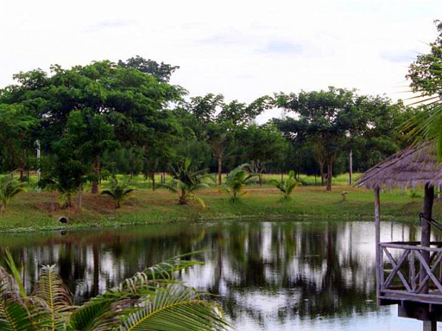 Das gleiche nach dem gewollten Fluten (nach jeder Ernte)- fuer Neubepflanzung und/oder Fischteich zum Wechsel